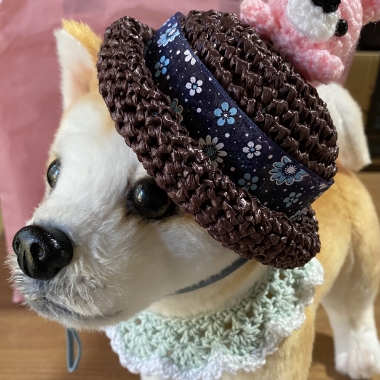 みかんのお茶会