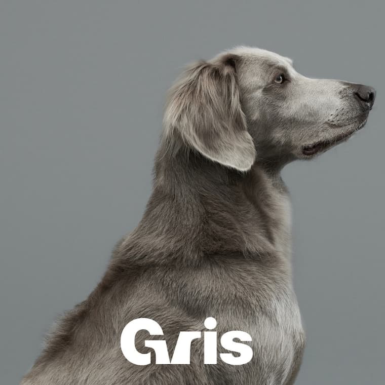 Gris by muraco(グリ バイ ムラコ)